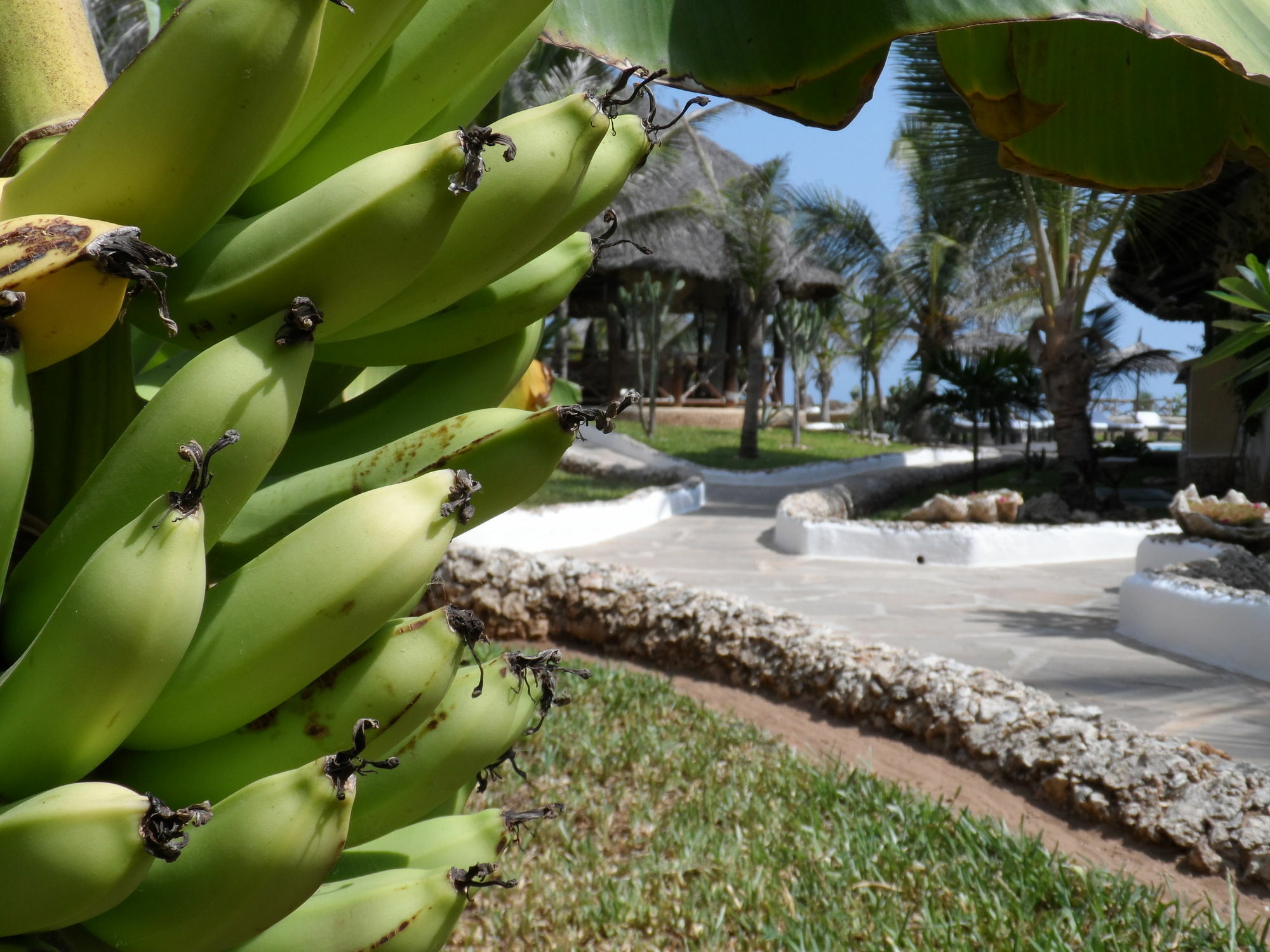 Mawe Resort Watamu Boutique Hotel Экстерьер фото